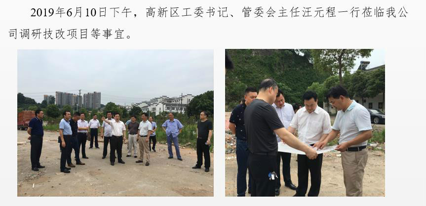高新區(qū)工委書記、管委會(huì)主任汪元程一行蒞臨我公司調(diào)研技改項(xiàng)目等事宜