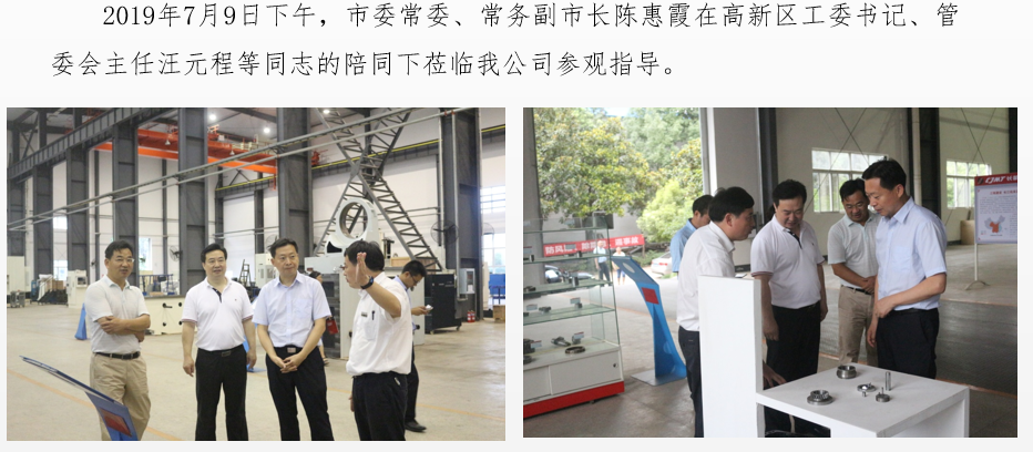 市委常委、常務(wù)副市長陳惠霞蒞臨我公司參觀指導